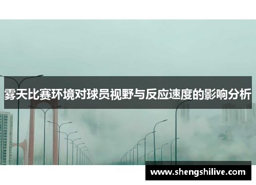 雾天比赛环境对球员视野与反应速度的影响分析